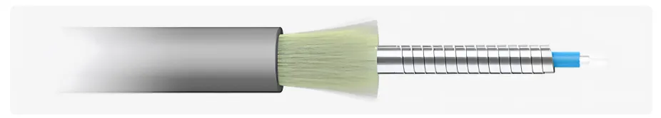 OM1/OM2 Armored Multimode Fiber Patch Cord for Indoor Applications第1张 OM1/OM2 Armored Multimode Fiber Patch Cord for Indoor Applications第1张